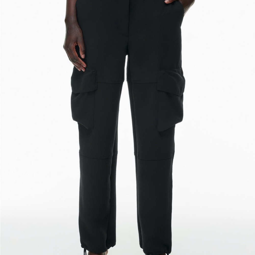 ARITZIA new project pants
